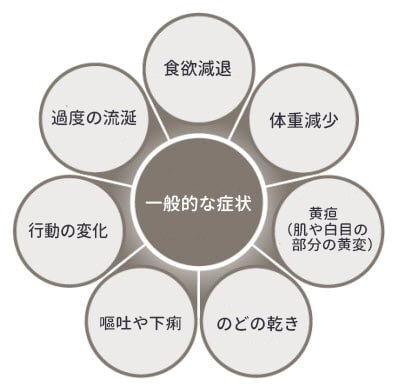 Common signs of liver disease