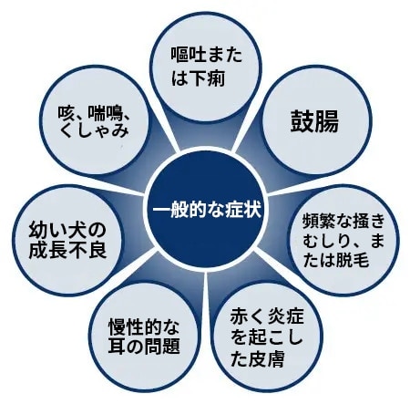 食物アレルギーと食物不耐性の一般的な兆候