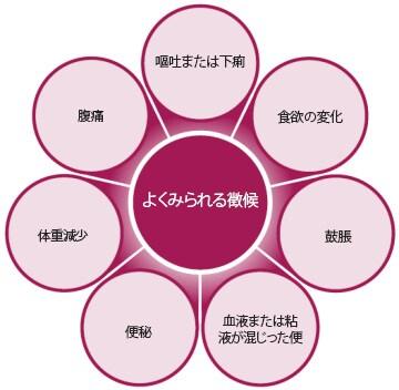 犬の消化器疾患に見られる一般的な徴候