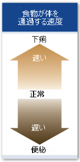 Rate that food moves through the body