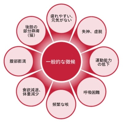 Common signs of heart disease