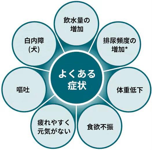 糖尿病の一般的な兆候