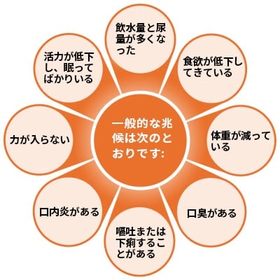 犬の腎臓病の一般的な兆候