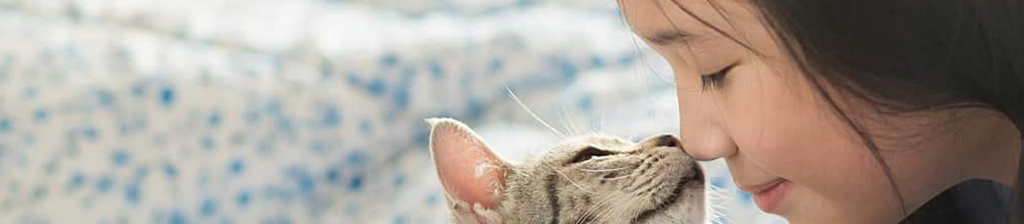 Mother cat nursing kittens