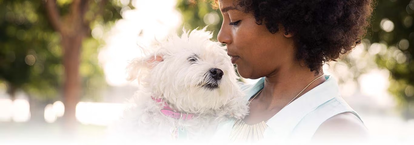 ウエスト・ハイランド・ホワイト・テリア