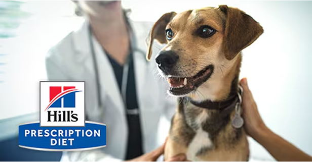 健康が気になりますか？