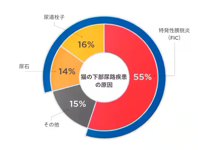 猫下部尿路疾患の原因を示すチャート
