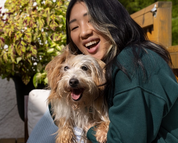 飼い主と一緒にいる小型犬