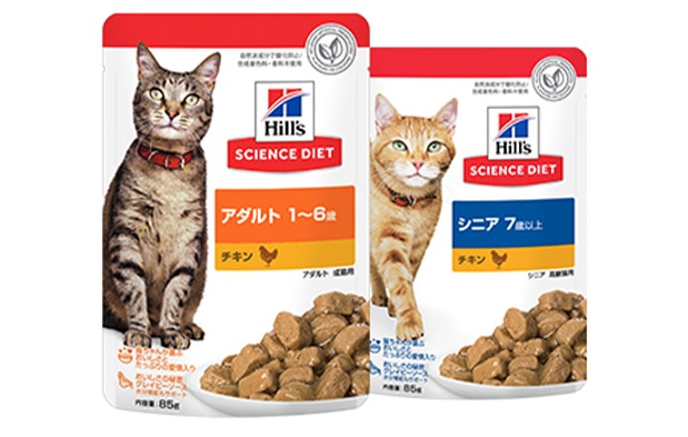 ウェットフード年齢