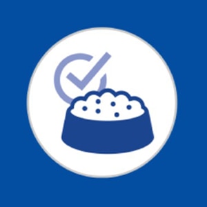 消化しやすい 高品質の原材料