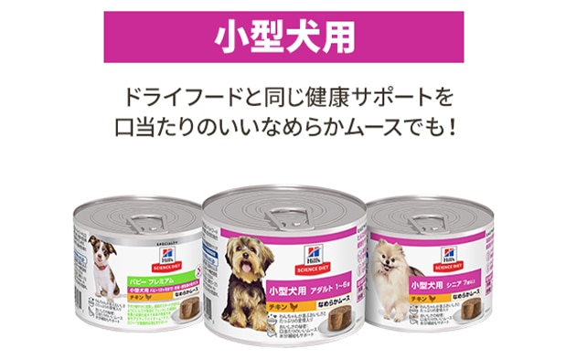 ウェットフード年齢