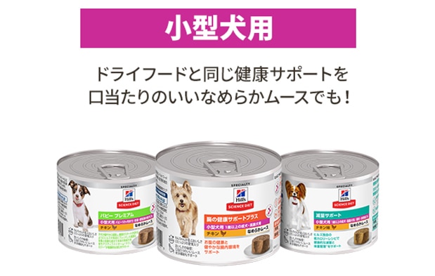 ウェットフードスペシャルケア