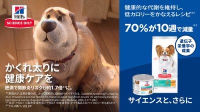 かくれ太りに健康ケアを