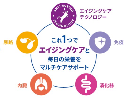 喜びで飛び跳ねる犬