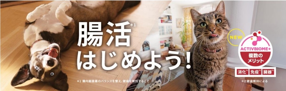 仰向けで喜ぶ犬と座っている猫の画像。「腸活はじめよう！」というテキストとアクティブバイオーム＋のロゴが配置されている。