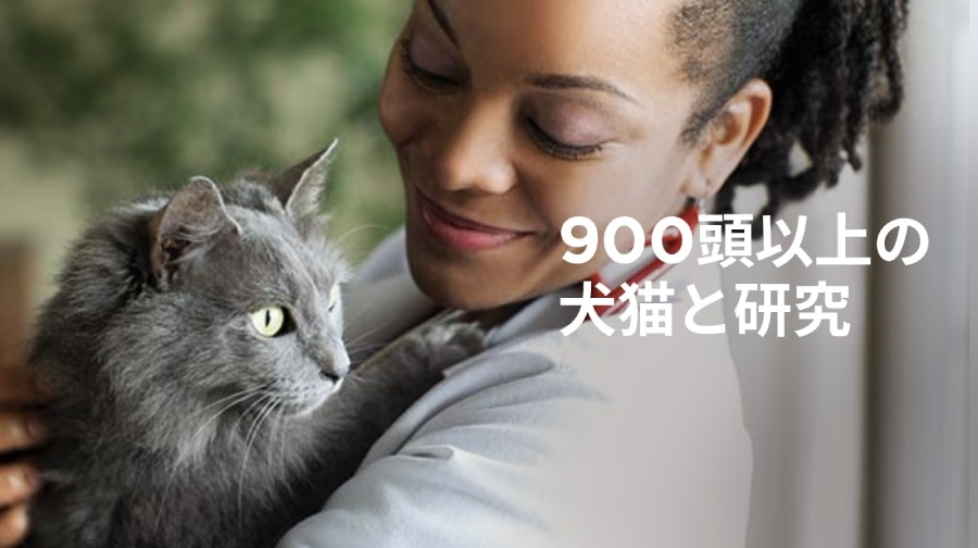 日本語のテキストが重なった、ふわふわした灰色の猫を抱いて微笑む女性獣医師。