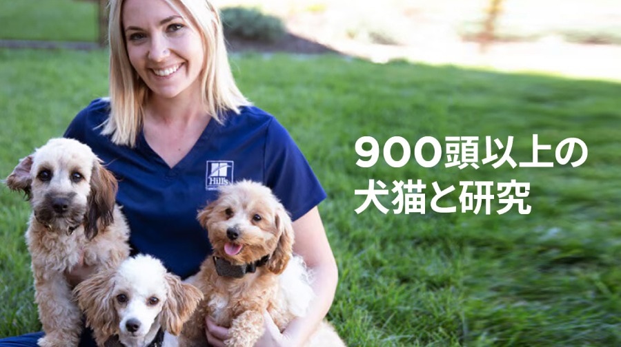 「900頭以上の犬猫と研究」という日本語のテキストが添えられた、芝生の上で3匹の小型犬を抱く笑顔の女性の写真 tubes。
