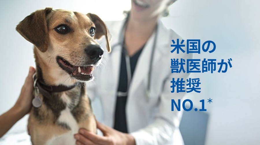 「米国の獣医師が推奨 NO.1」という日本語のテキストが添えられた、獣医師の診察を受ける笑顔の犬の写真。