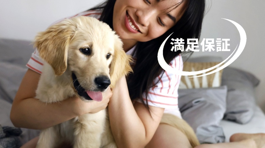 「満足保証」という日本語のテキストが添えられた、ゴールデンレトリバーの子犬を抱きしめる笑顔の若い女性の写真。