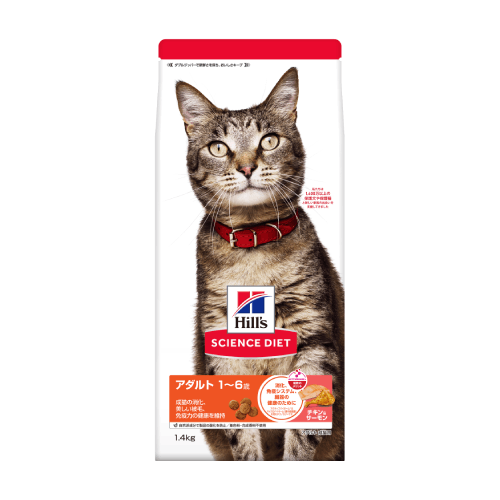 アダルト 1～6歳 成猫用 チキン＆サーモン