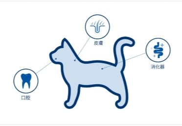 猫のマイクロバイオームの位置