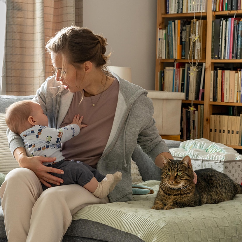 体重管理キャットフード