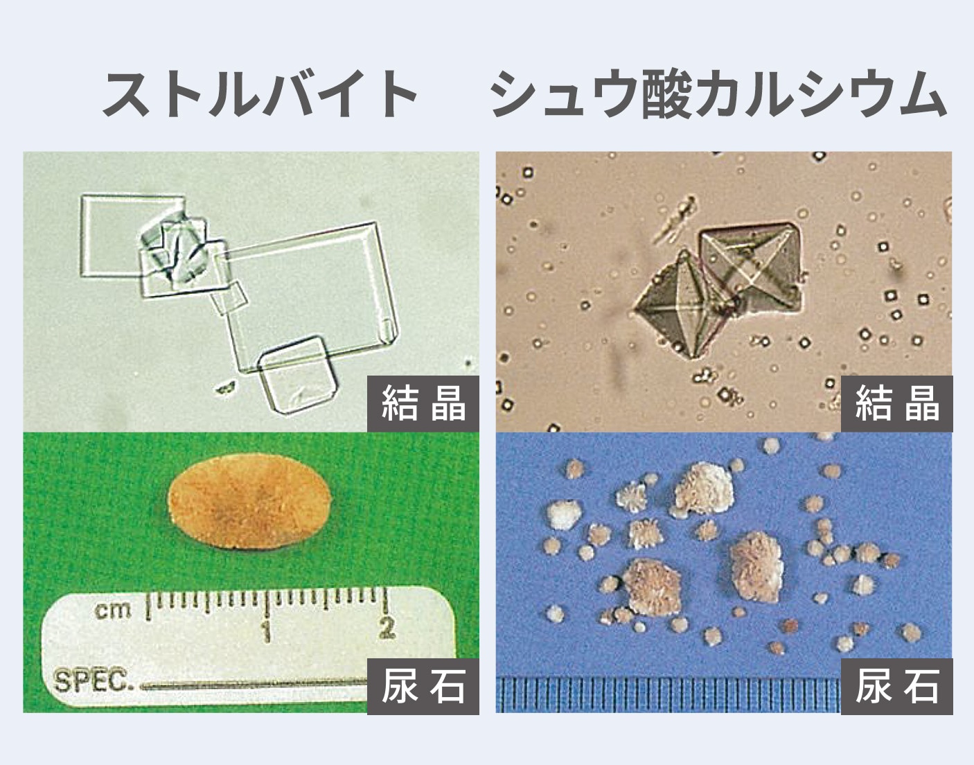 体重管理キャットフード