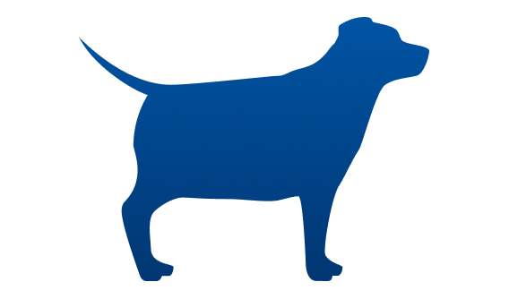 ぽっちゃり体型の犬