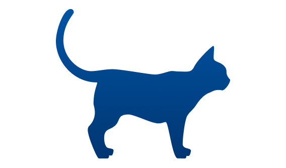 ほっそり体型の猫