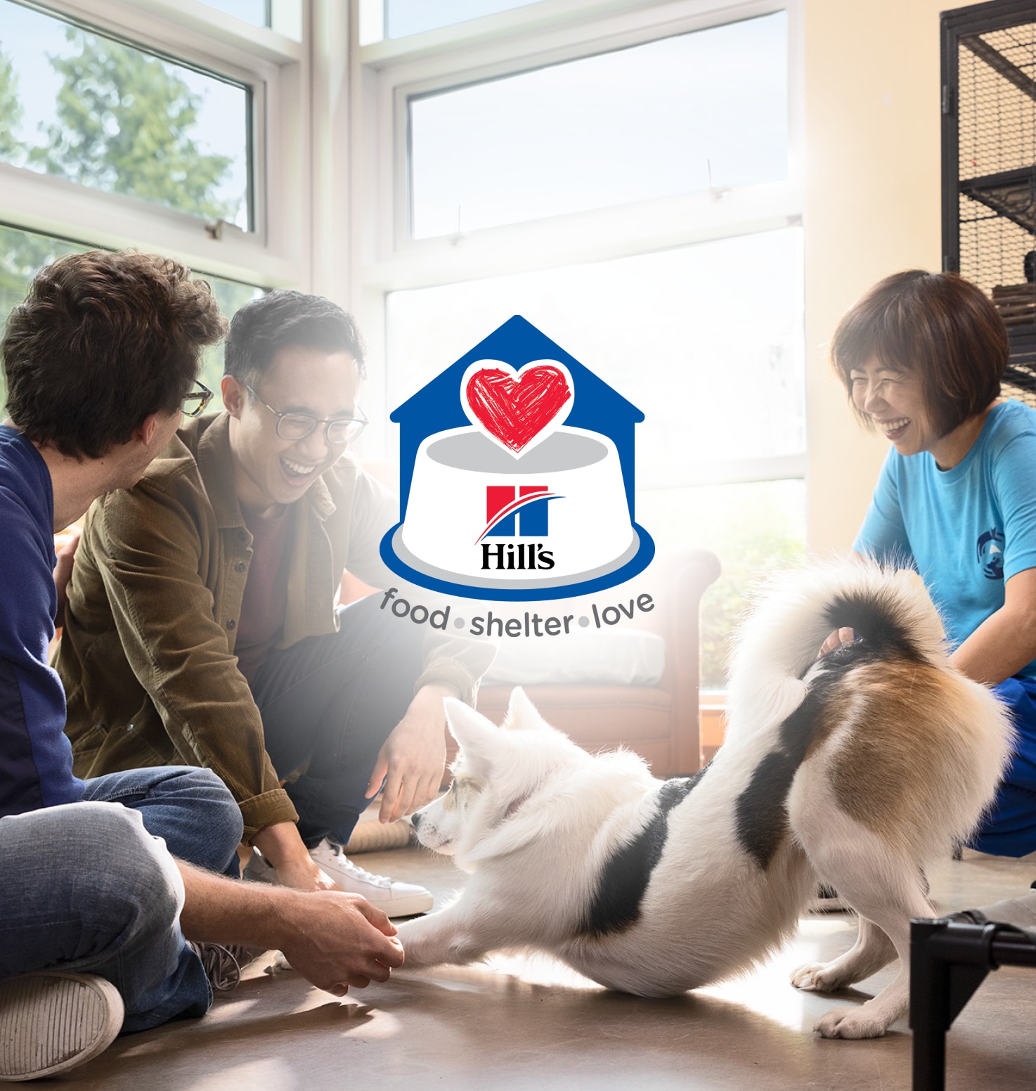 犬と遊ぶ二人の男性と女性