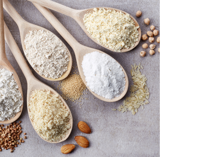 ヒルズのペットフード材料の粉末穀物がスプーンに盛られている