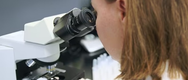 顕微鏡を使う研究者