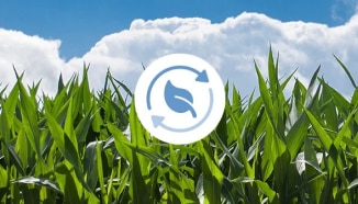 持続可能な調達のアイコンがあるフィールド